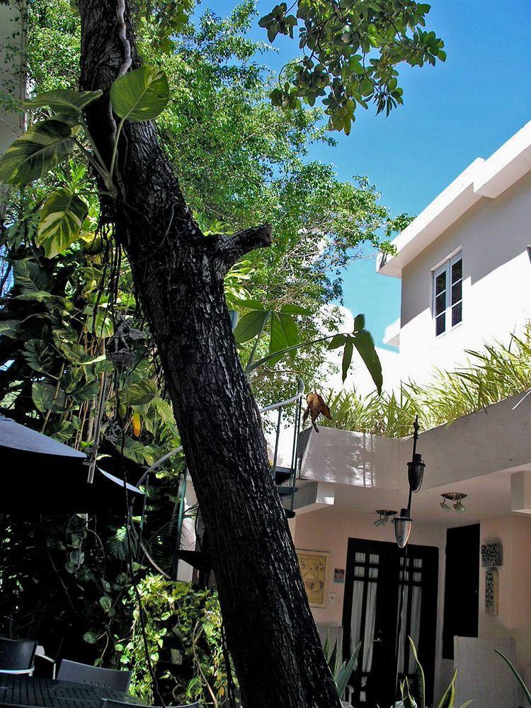 Oceana Hostal Playero San Juan Zewnętrze zdjęcie